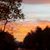 Cynthia S. Buxton's profile image