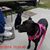 DeeDee Vocaturo's profile image