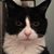 Ann Dixon's profile image