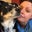 Lisa Bailey's profile image