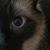 Teresa Kirtley Gearhart's profile image