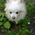 Pat Lobeck's profile image