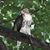 Susan Rutherford Joenk's profile image
