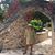 Peggy McNinch's profile image