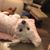 LeiLanie D'Agostino's profile image