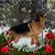 Cheryl Smith's profile image