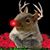 Andrea Stepnosky's profile image