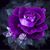 Valeen Lopez's profile image