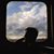 Samuel Benjamin Pike's profile image