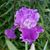 Kecia Mathis Rey's profile image