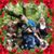 Cynthia Alexander's profile image
