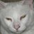 Faith Cheasty- Benner's profile image