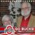 Judy McGoron Near's profile image