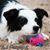 Susan Brown's profile image