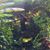 Chandra Pinkston's profile image