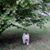 Donna Finnell Shadwell's profile image