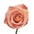 Michele Tunison Myers's profile image