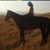 Melissa Marshall Holdaway's profile image