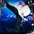 Lisa Giles's profile image