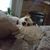 Jeannette Perreco's profile image