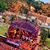 Brenda Muckenfuss's profile image