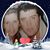 Patricia Maggipinto's profile image