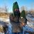James Herbes's profile image