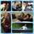 Jovan Cruz's profile image