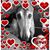 Shelley Nevins's profile image