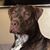 Shane Northrop's profile image