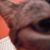 Tony Widinski's profile image