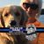 Lynn Christman's profile image