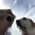 Fran Warhol Hocking's profile image