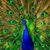 Lois Frey's profile image