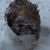 Amy Morrissey's profile image