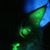 Bile Grinder's profile image