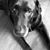 Mary Rita Guthrie's profile image