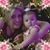 Angie Vendola's profile image