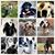 Wanda Marshburn's profile image