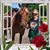 Sue Gebben's profile image