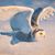 Marianna Mathis Hamill's profile image