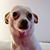Bill Farnsworth's profile image