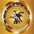Ascab Capoeira Mestre Doutor's profile image