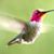 Debbie Andrews's profile image