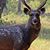 John Souder's profile image