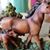 Lucia Rios's profile image