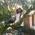 Gloria Ines Lopez Mejia's profile image
