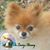 Donna Bowlin Smith's profile image