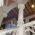 Elaine Hamer's profile image
