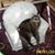 Jyllian Martini's profile image